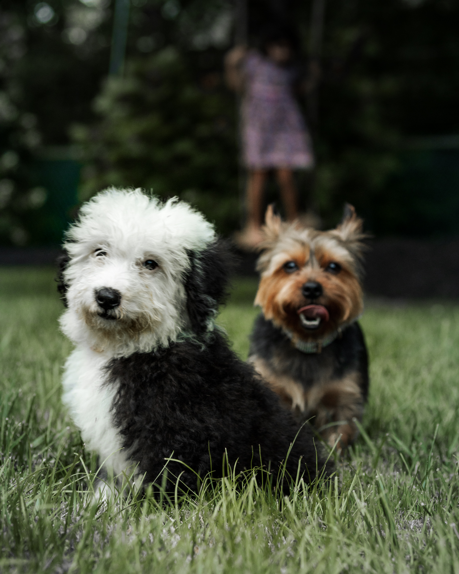Tilly & Max