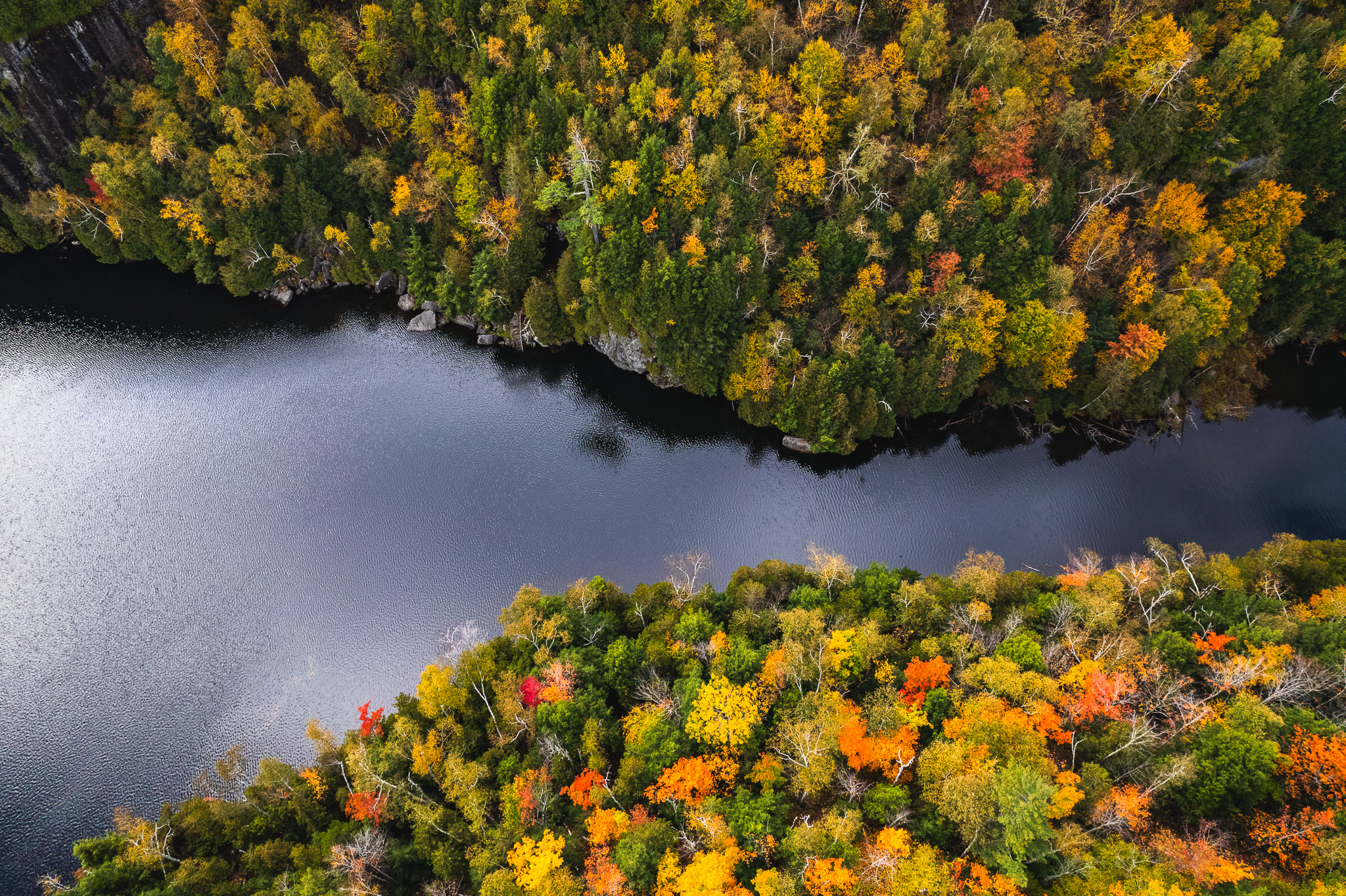 Chapel Pond fall foliage