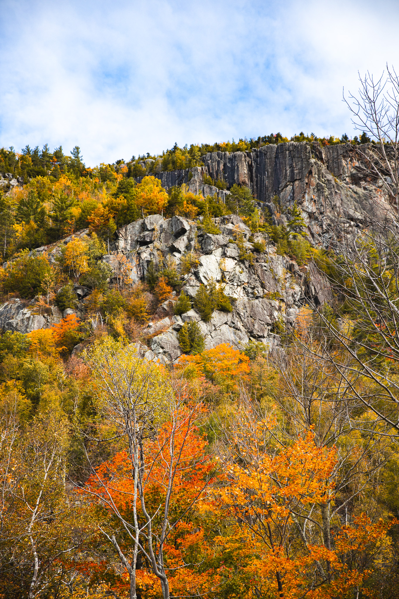 Chapel Pond fall foliage