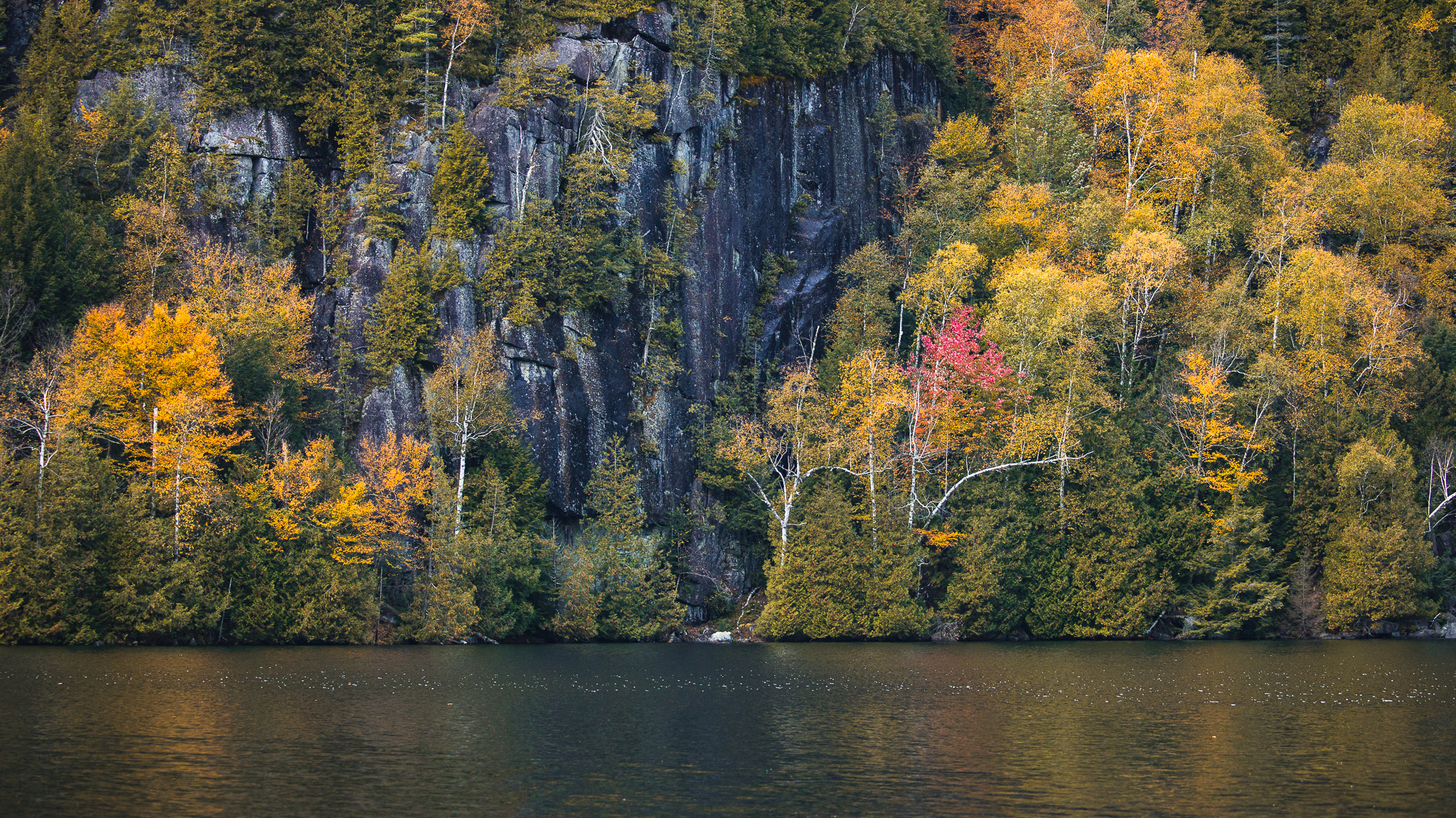 Chapel Pond fall foliage