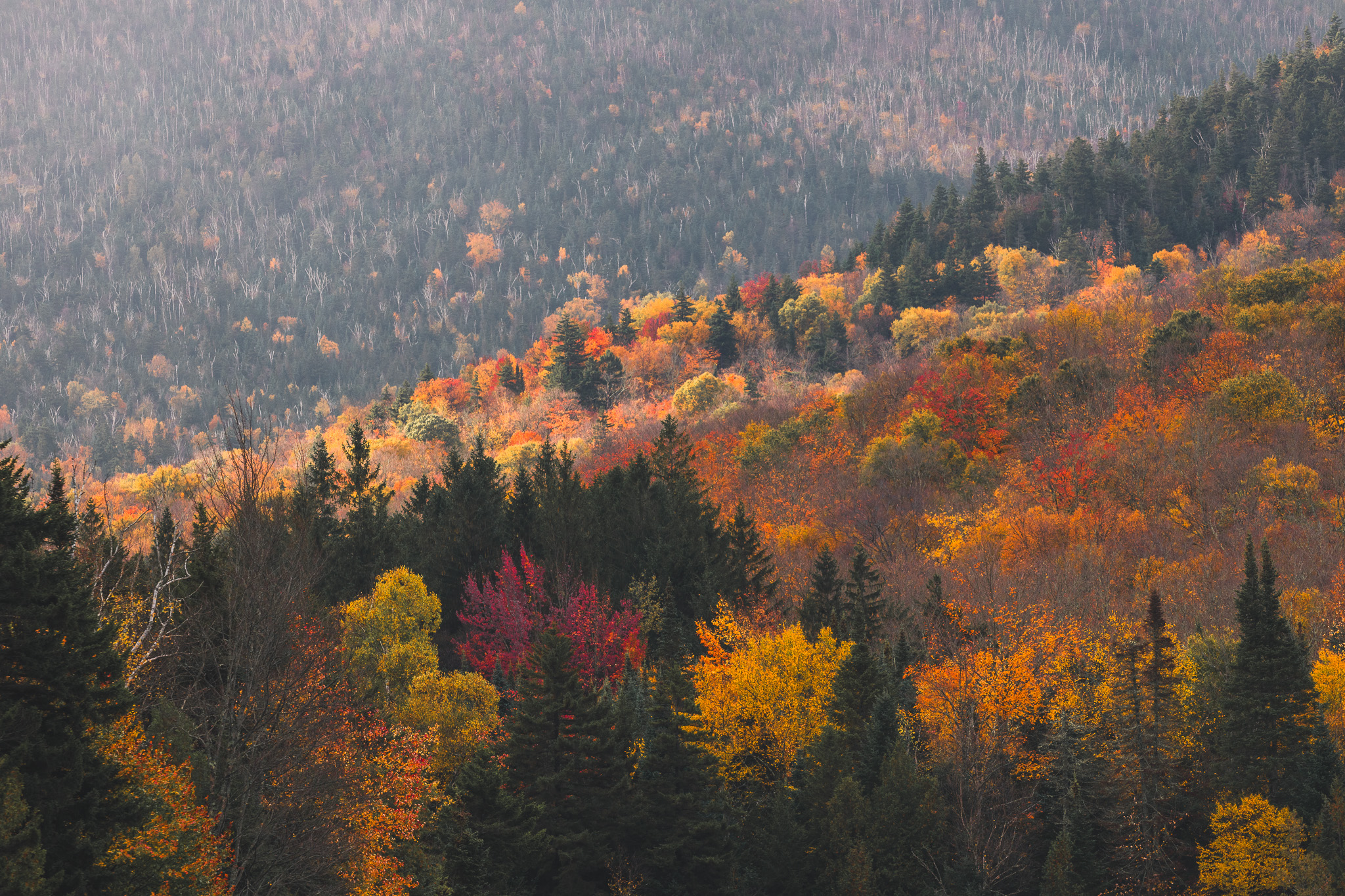 Heart Lake fall foliage