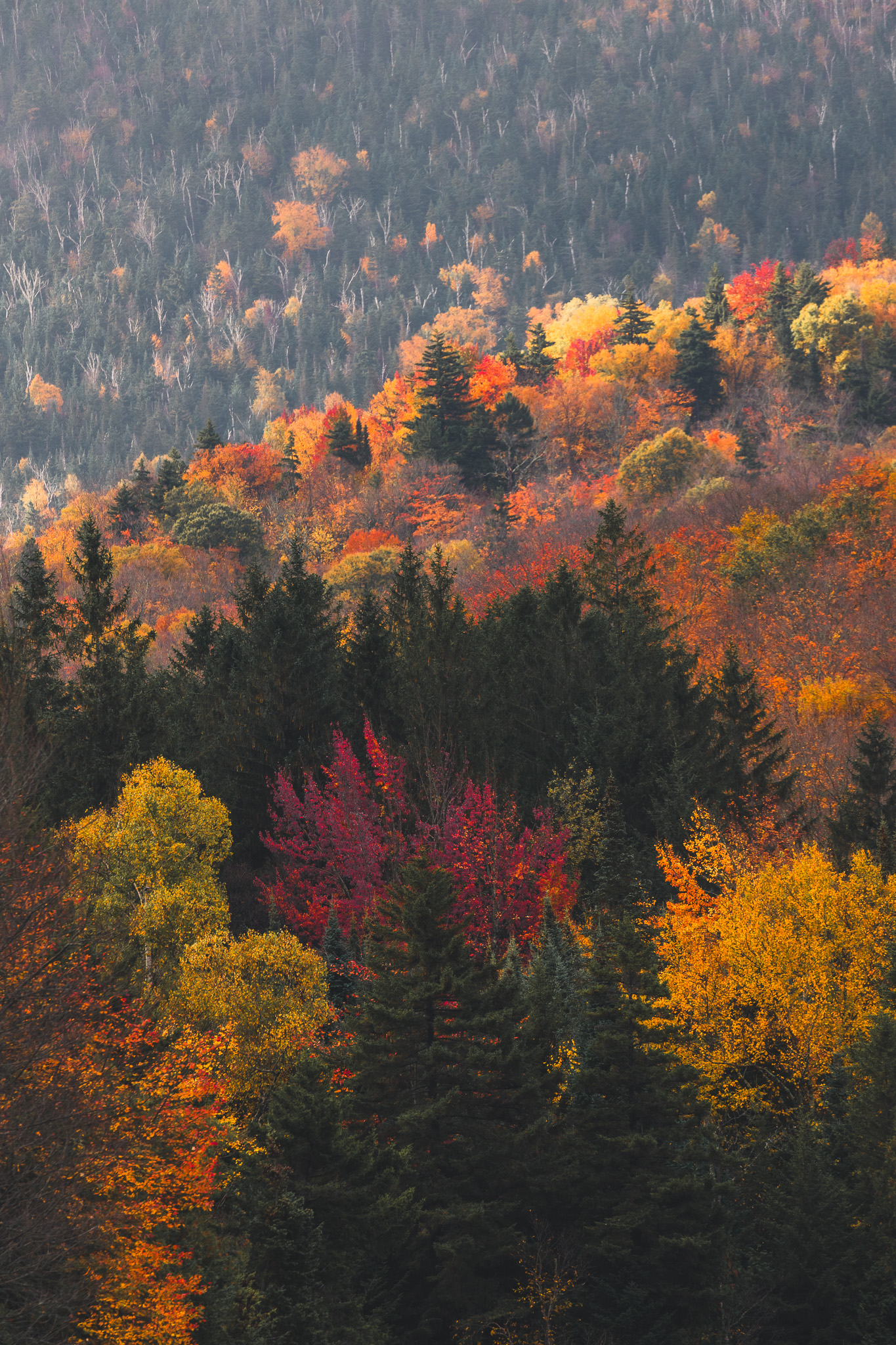 Heart Lake fall foliage