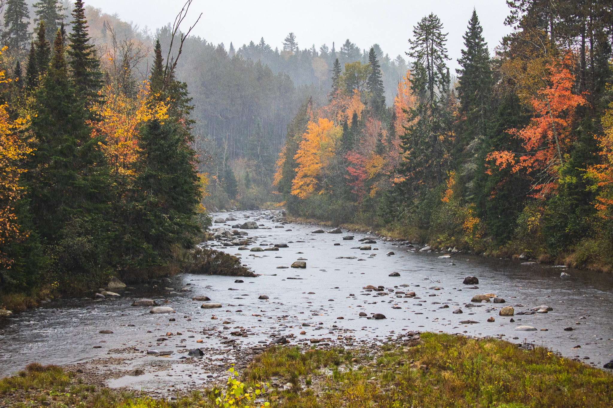 Chubb River with fall foliage