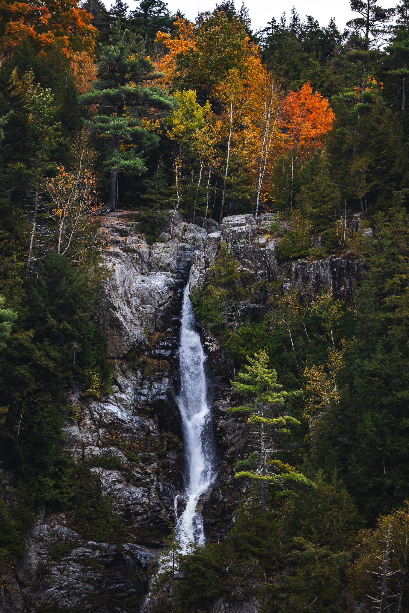 Roaring Brook Falls fall foliage