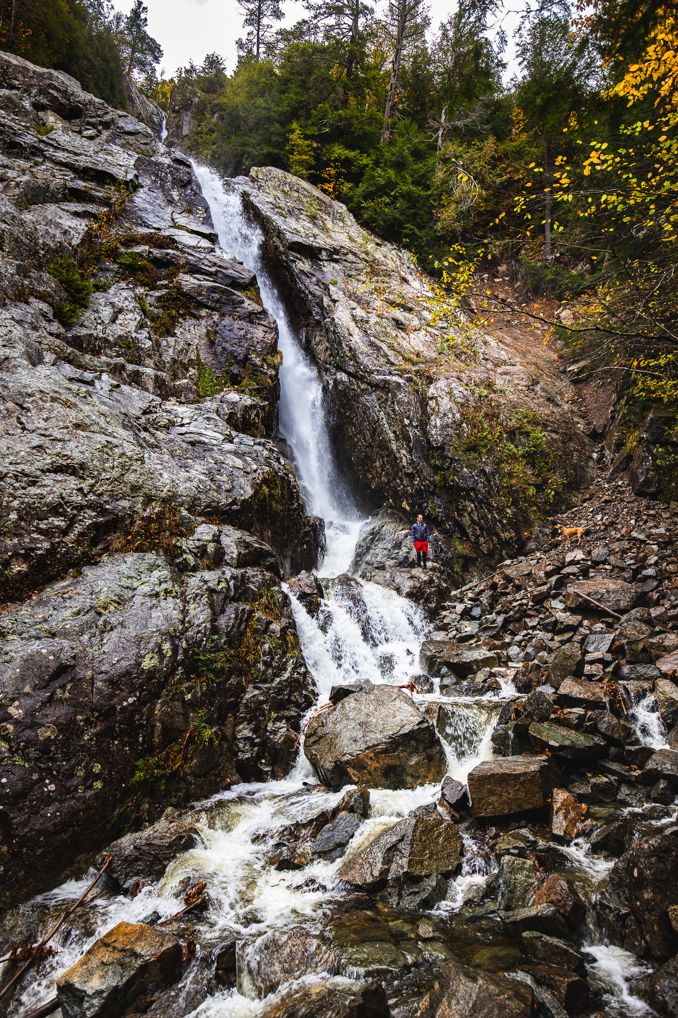 Roaring Brook Falls fall foliage