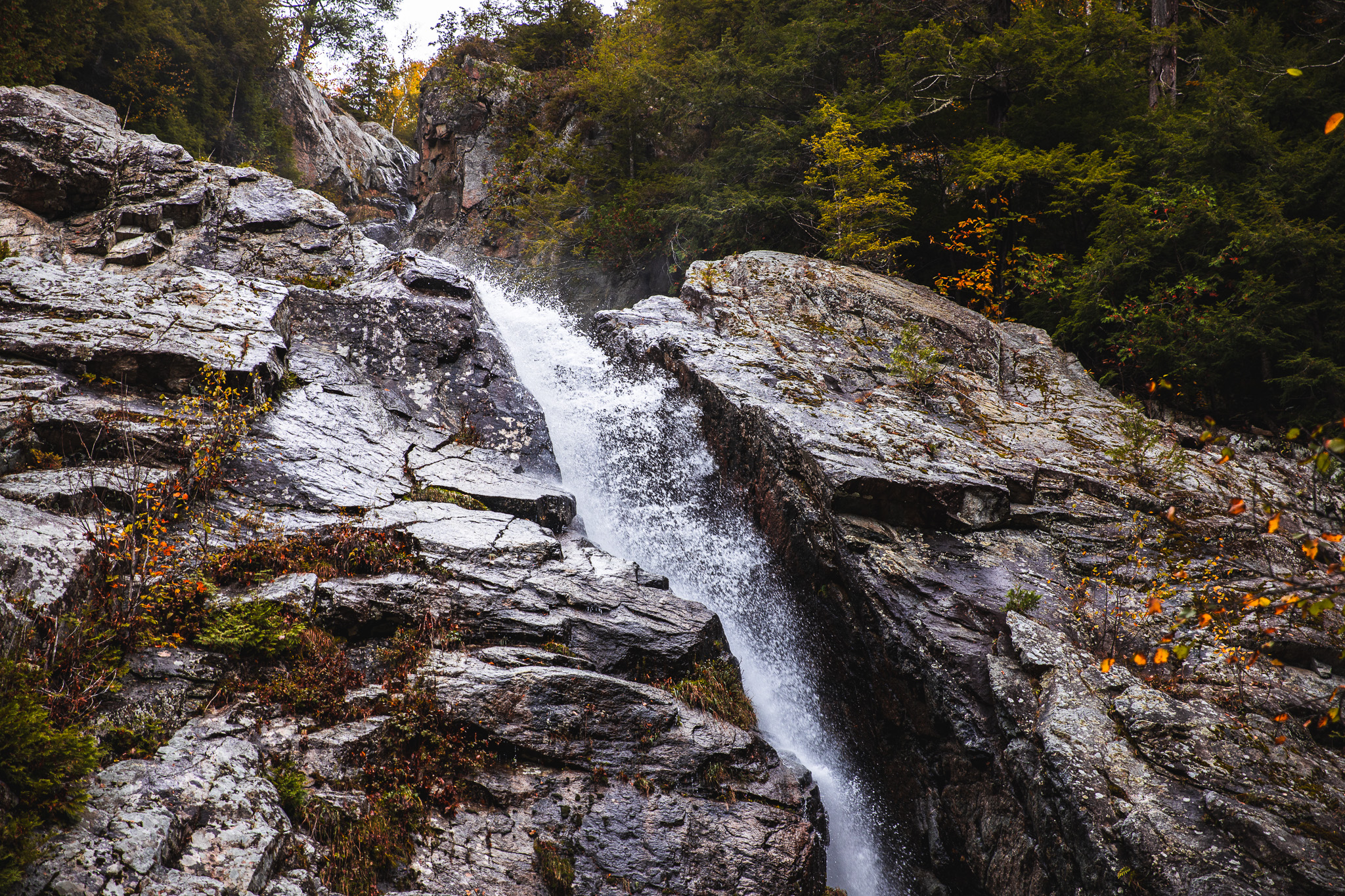 Roaring Brook Falls fall foliage