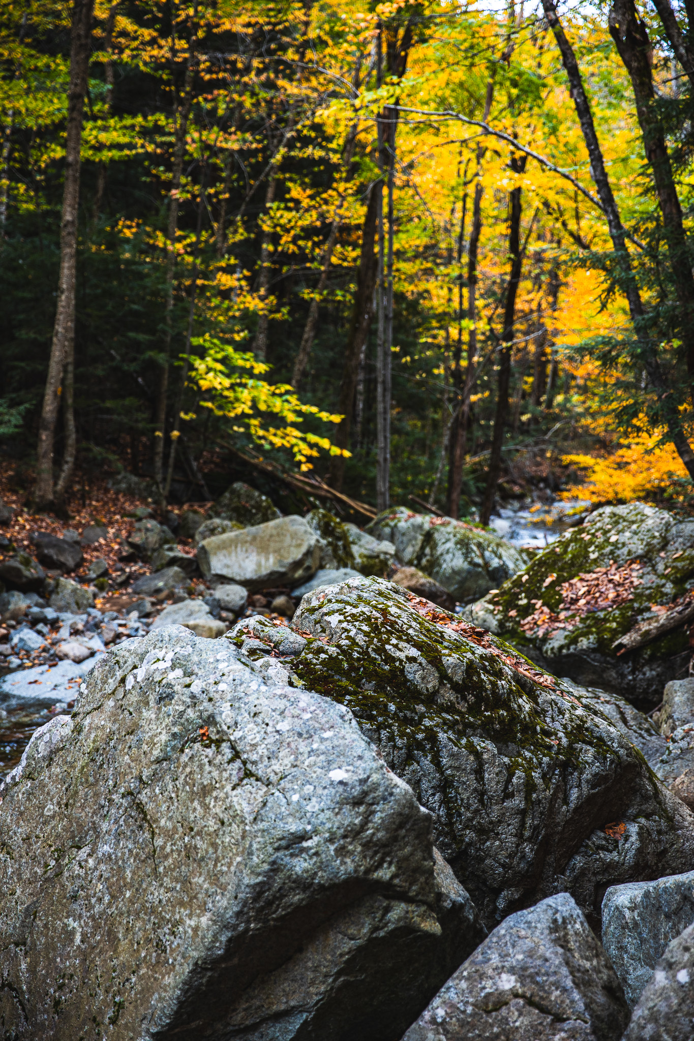 Roaring Brook Falls fall foliage