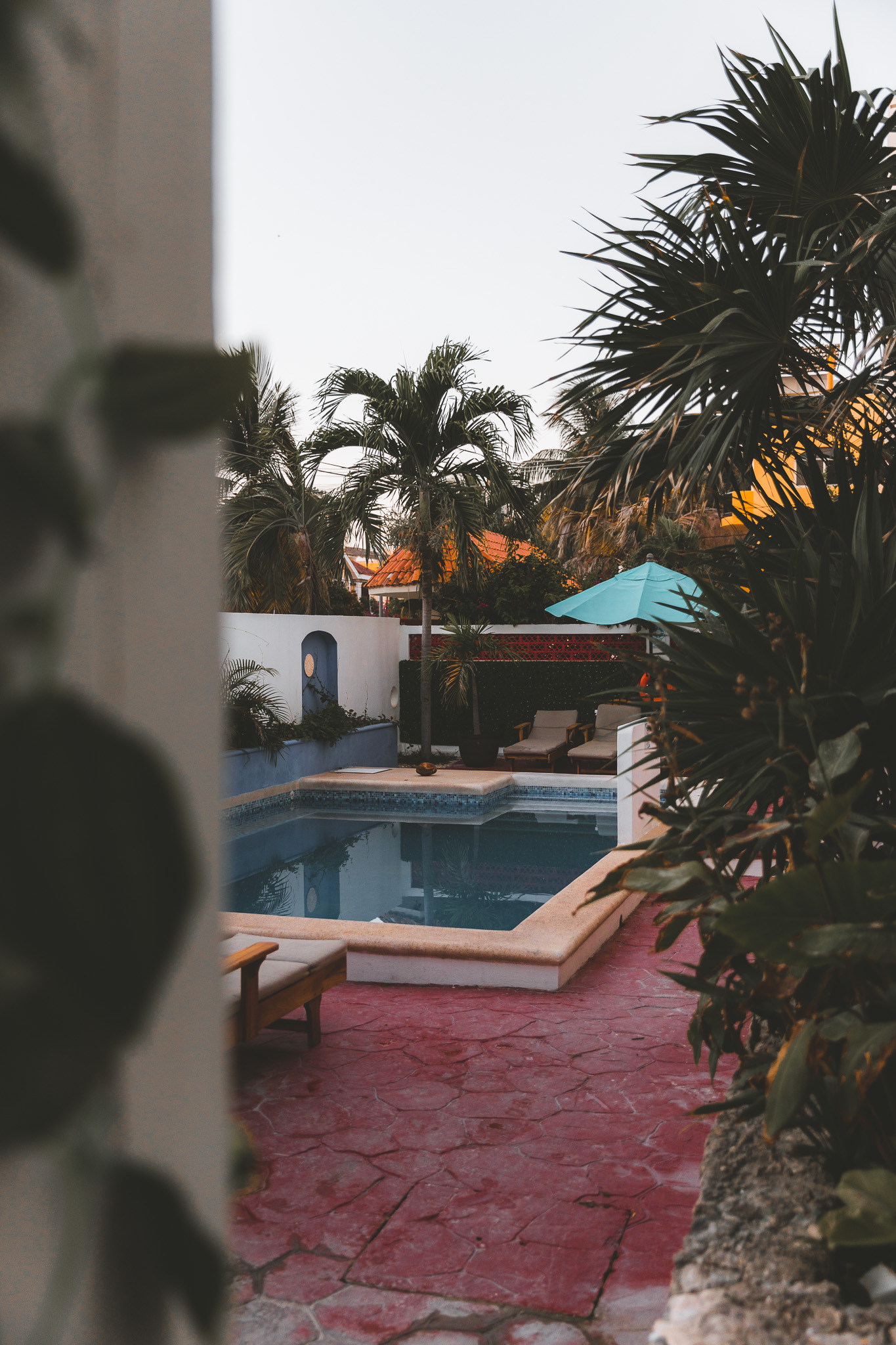Pool in tropical setting