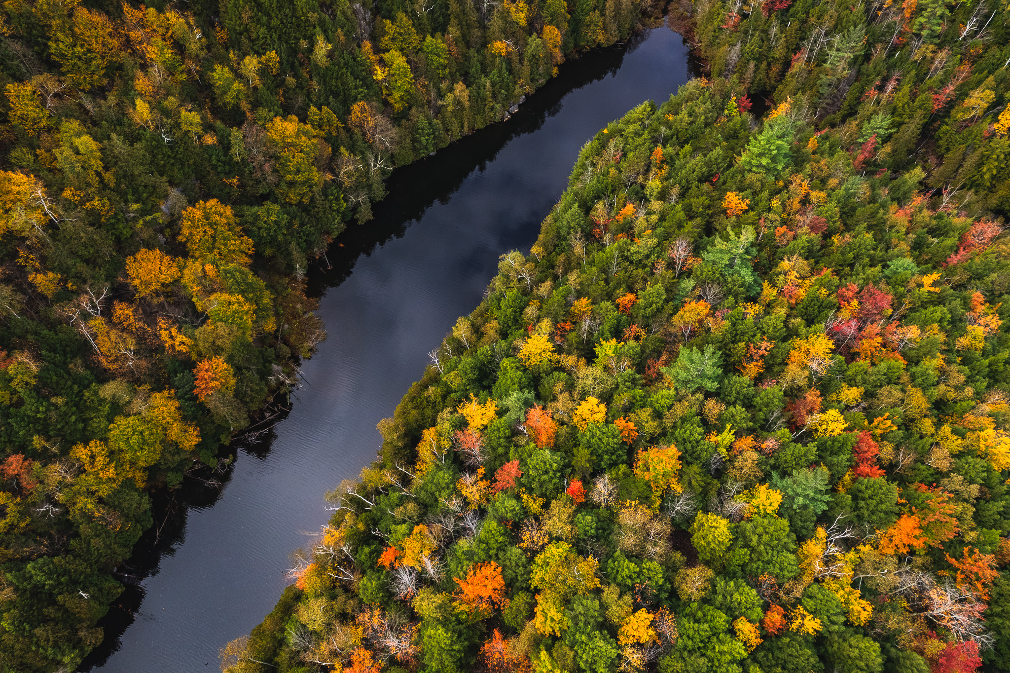 Chapel Pond, NY