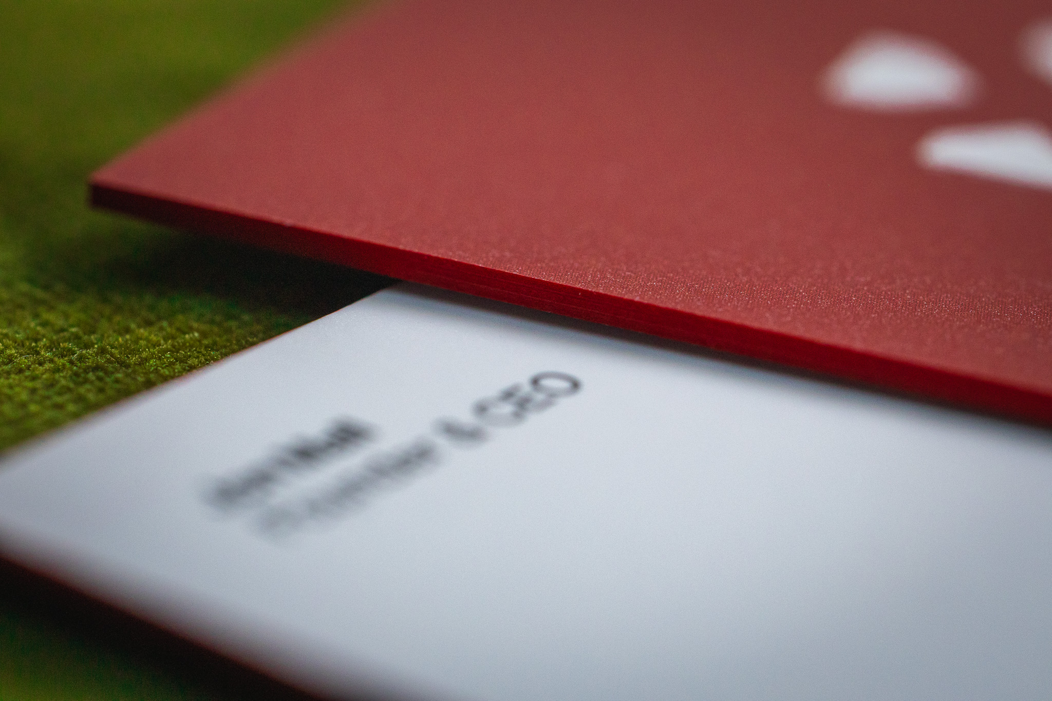 Multiply Management business cards