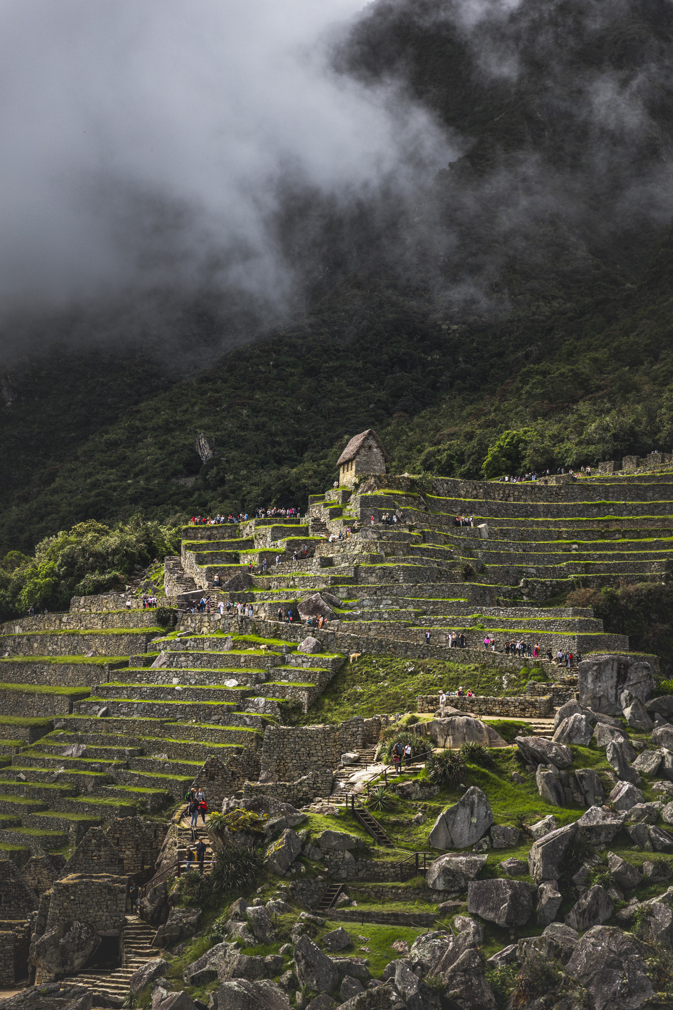 Machu Picchu