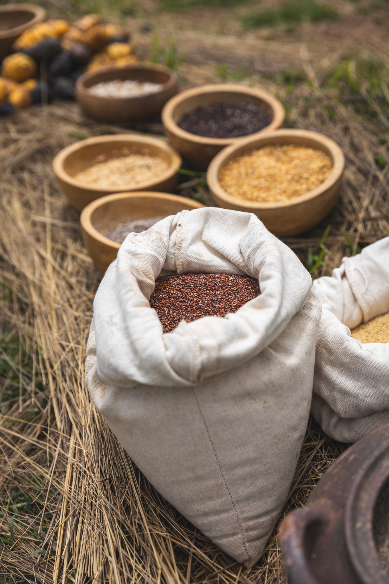 Quinoa