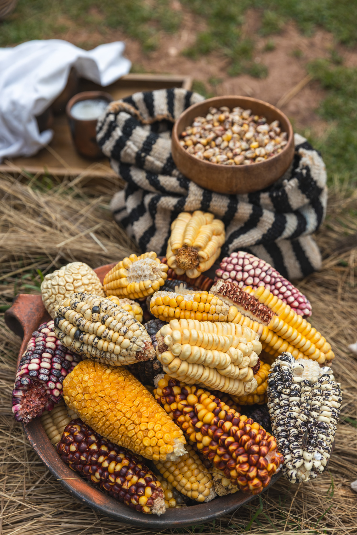 Corn