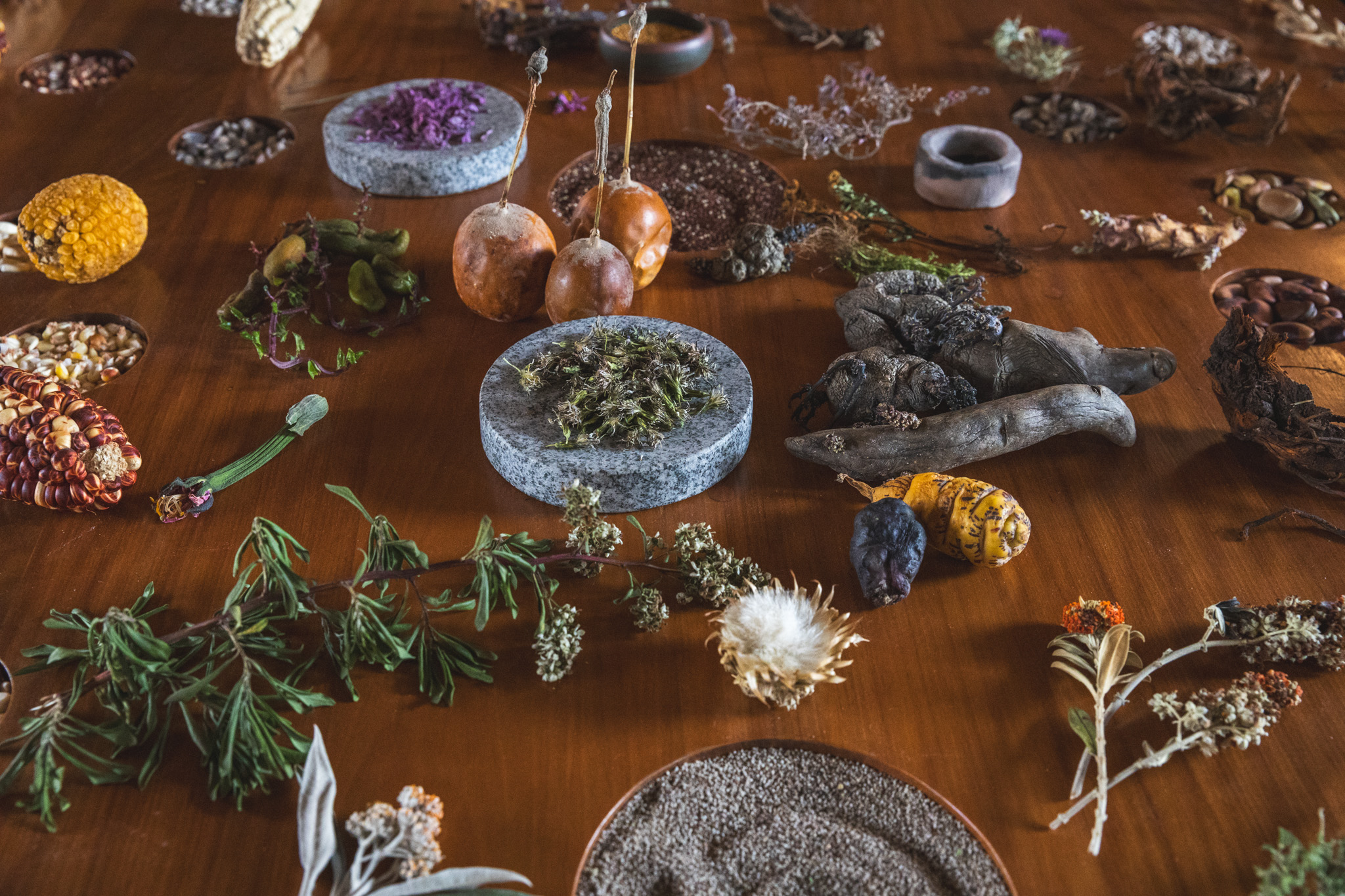 Various roots and herbs
