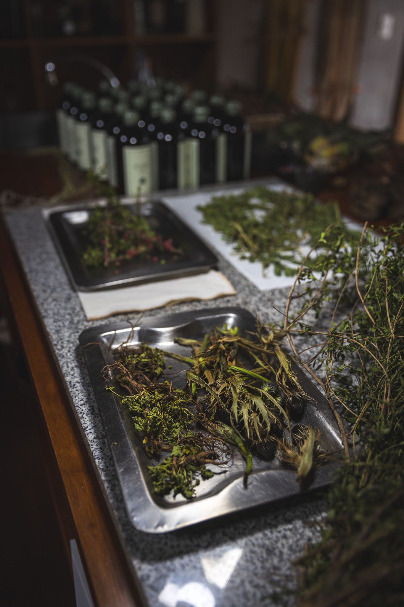 Various herbs and roots