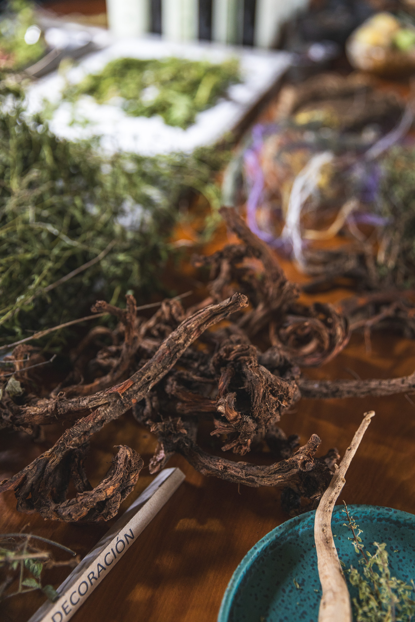 Various herbs and roots