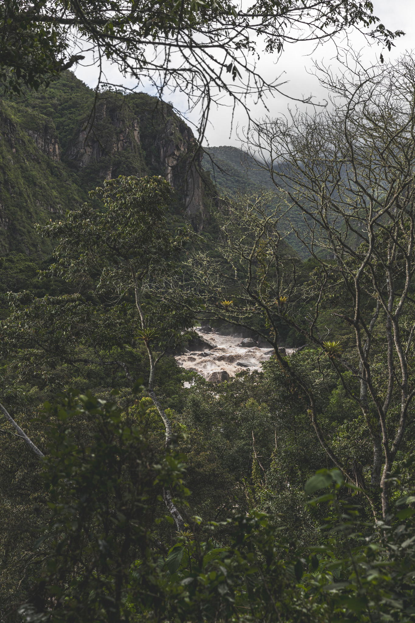 A mighty river current framed within leaves and cliffs