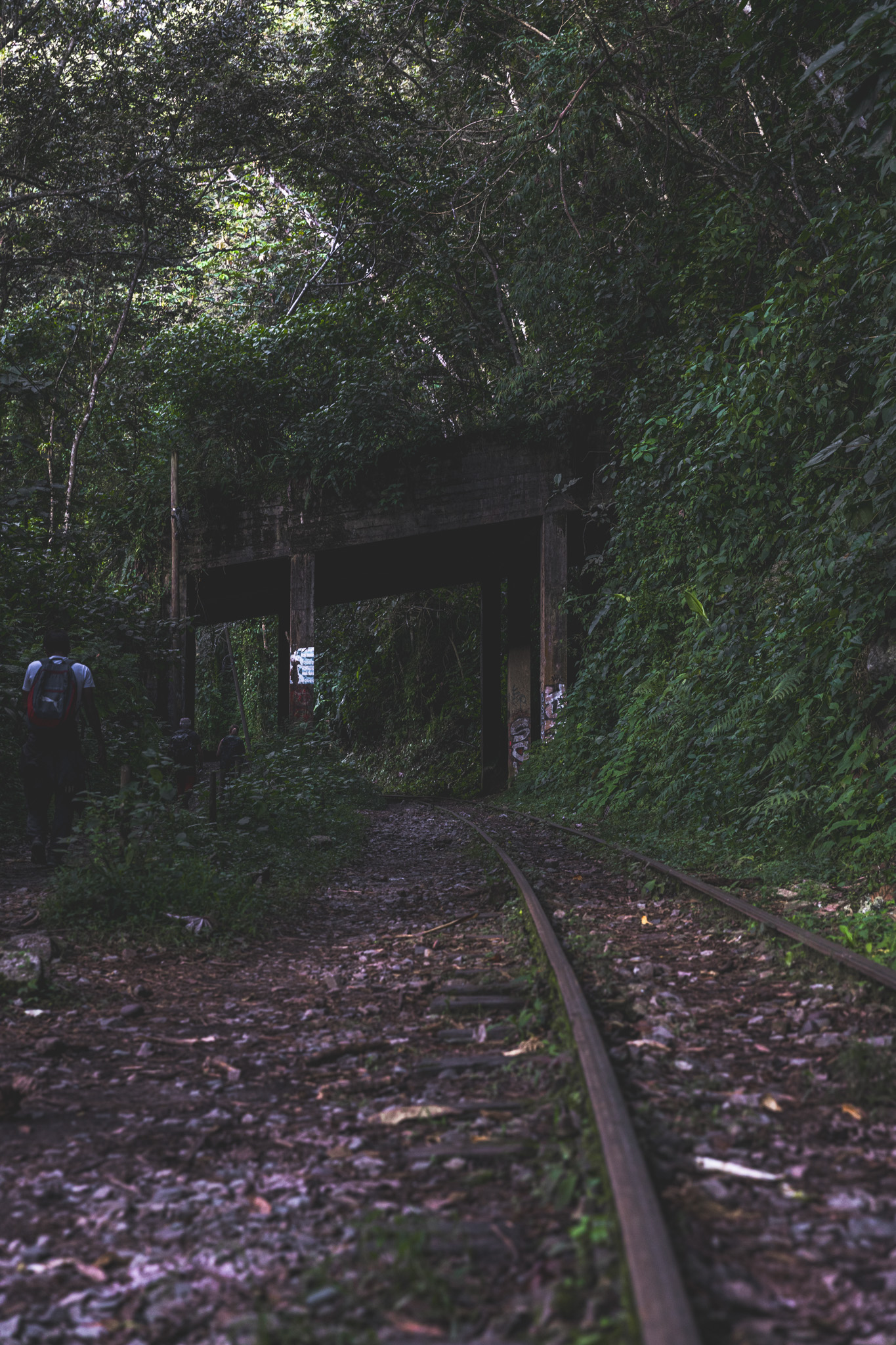 Curved railroad tracks leading to an overpass