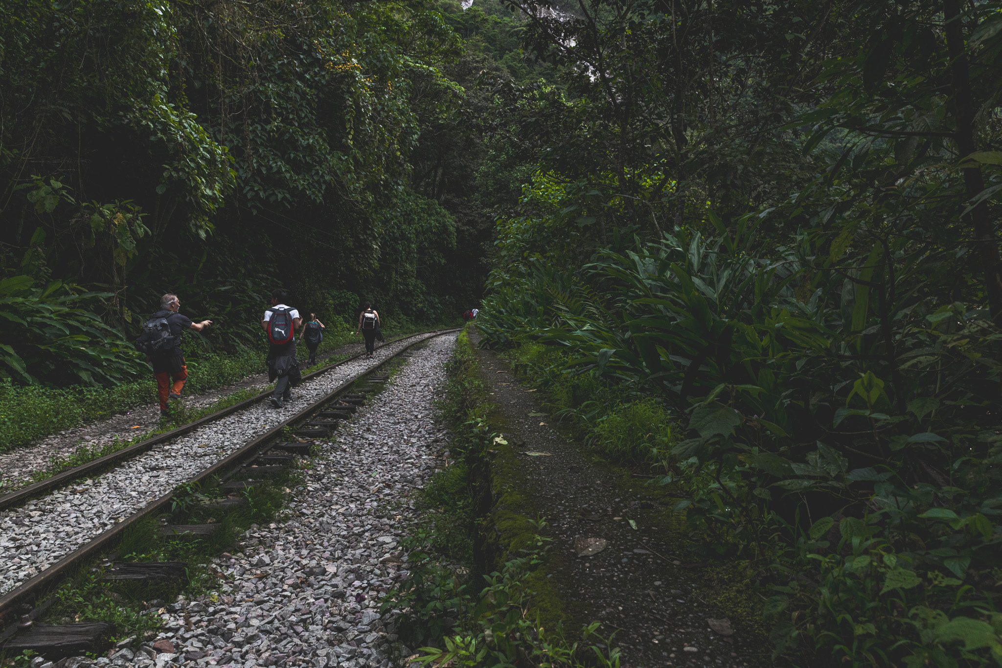 People hiking along railroad tracks