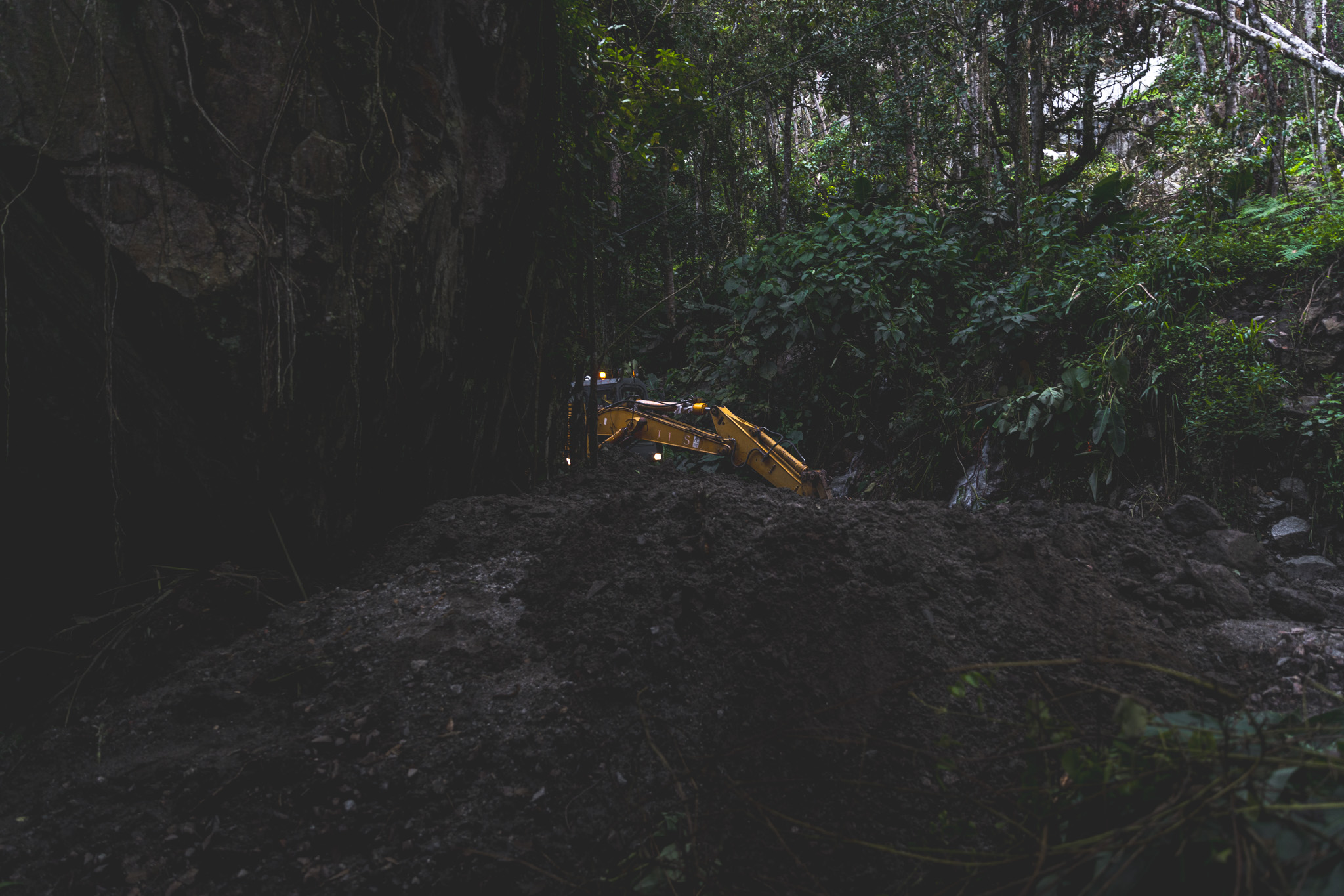 A construction vehicle in the middle of the woods